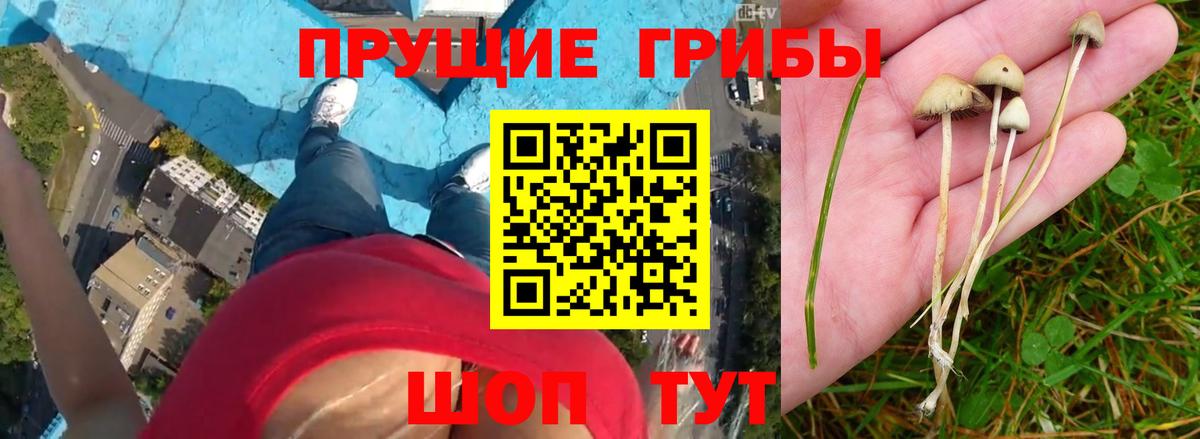 Галлюциногенные грибы Magic Shrooms Ирбит